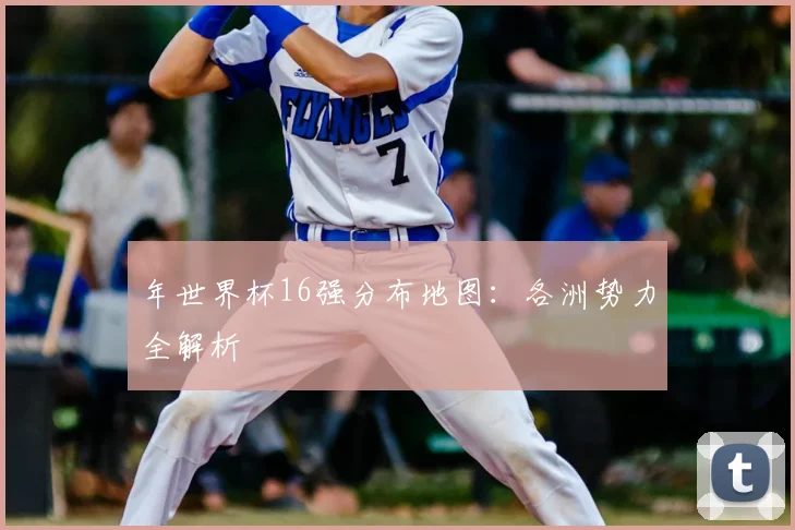 年世界杯16强分布地图：各洲势力全解析