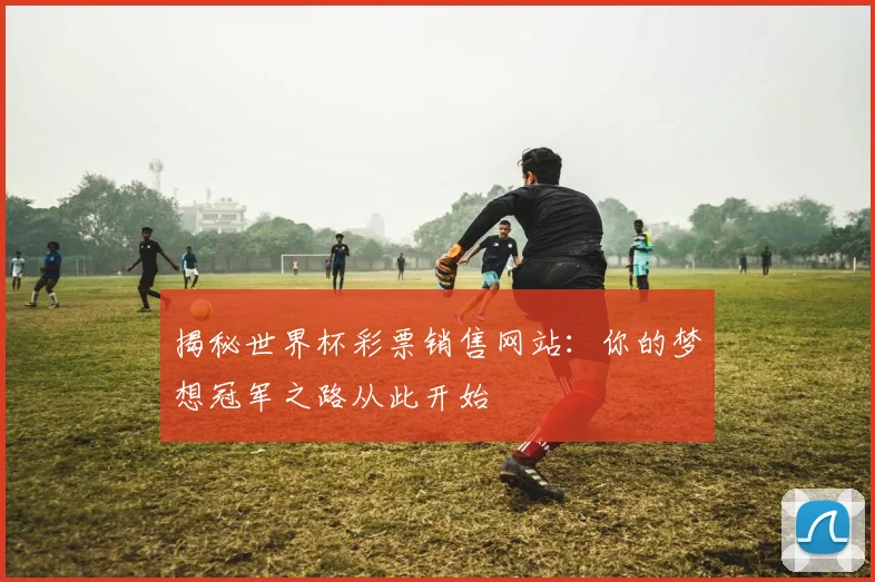 揭秘世界杯彩票销售网站:你的梦想冠军之路从此开始