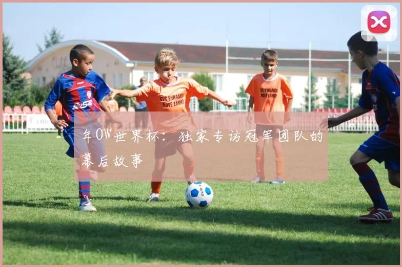 年OW世界杯：独家专访冠军团队的幕后故事